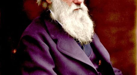 تشارلز داروين و”اللغز الفظيع” الذي قضّ مضجعه حتى مماته