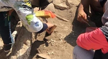 توضيح من المديرية العامة للآثار حول عظام الطفل المكتشفة في قلعة بعلبك