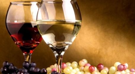 افتتاح مهرجان النبيذ في 2 ت1 والصين ضيفة الشرف بطيش: Vinifest يعكس نمو صناعة النبيذ اللبنانية رغم الوضع الاقتصادي الراهن