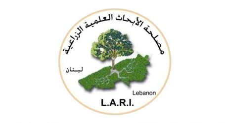 مصلحة الأبحاث الزراعية: نملك بنكًا للبذور يضم ألف نوع من نباتات لبنان
