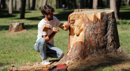 شاب إيطالي يحوّل جذوع الأشجار الميتة في روما إلى منحوتات فنية