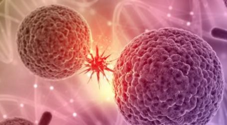 بشرى سارة لمرضى السرطان…  أول دواء فعال لقتل الخلايا المصابة من أدلايد – أستراليا