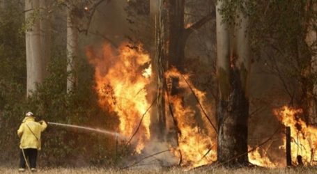 موجة حر جديدة تهدد أستراليا والحرائق إلى تفاقم