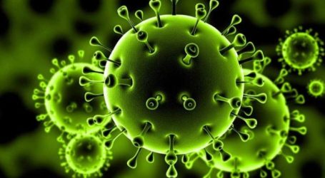وزارة الصحة: الوقاية من فيروس الكورونا وطرق العلاج