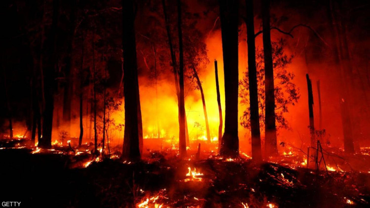 حرائق الغابات في جنوب شرق أستراليا تخرج عن السيطرة Aleph Lam