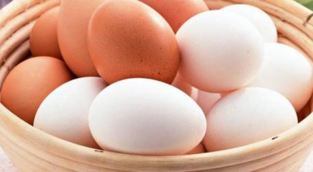 لماذا يجب شراء البيض الأبيض وليس البني؟