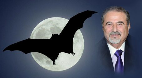 الخفاش وعالم الافتراض