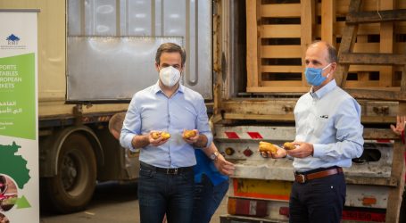 “مؤسسة رينه معوض” والسفارة الهولندية  تصدّران البطاطا اللبنانية إلى الاتحاد الأوروبي