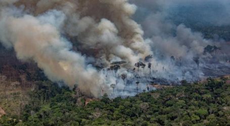 الحرائق وفيروس كورونا المستجد عقوبة مزدوجة لغابة الأمازون