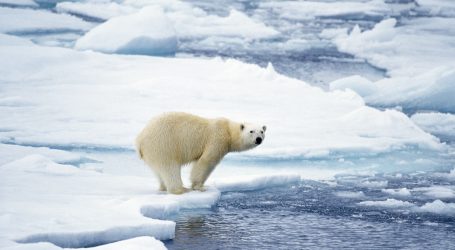 أرقام مفزعة عن ذوبان القطب الشمالي: “نفقد نحو مليون طن من الجليد في الدقيقة الواحدة”!
