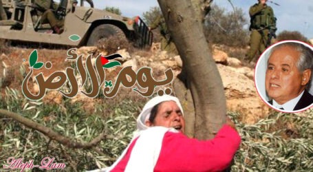 في يوم الأرض.. ما فتئ الفلسطينيّون يغرسُون أشجارَ الزّيتُون ويرفعُون أغصَانَها الخضرَاء