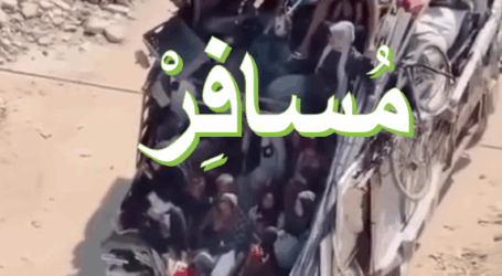 مُسافر