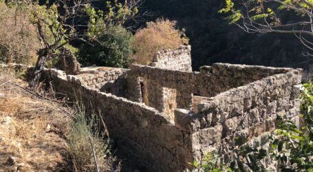 تجديد الحياة الروحية والعمرانية في وادي قنوبين