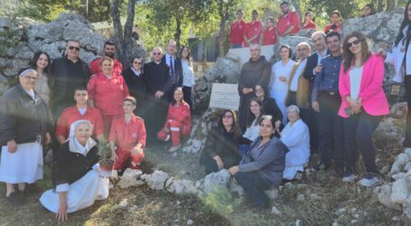 140 أرزة من كاريتاس لبنان في حديقة البطاركة الديمان