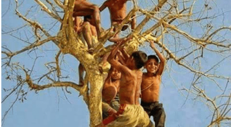 أبناء البقاء والحياة